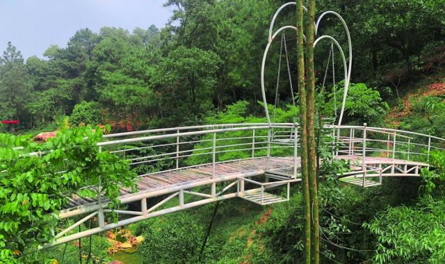 Chuyển nhượng công trình sinh thái Lâm Trường Minh Phú, Sóc Sơn, diện tích 33000m2, giá 99 tỷ