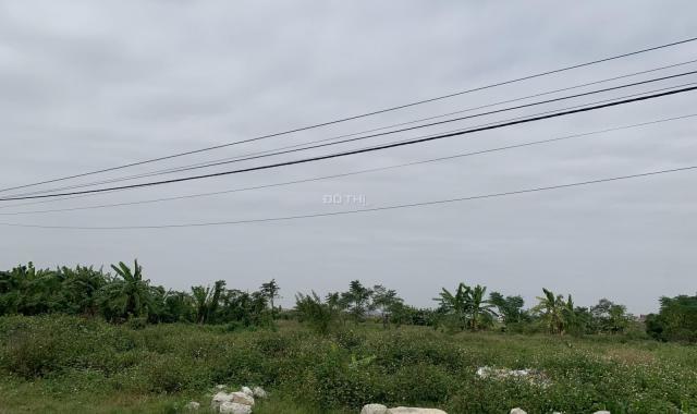 Bán đất tại Xuân Trường, Nam Định diện tích 4390m2 giá 62 tỷ