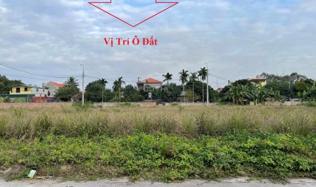 Bán đất dự án phân lô khu 9 Thanh Sơn, P. Thanh Sơn. dt: 90m2, mt: 6.2m, vỉa hè 3m