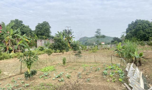 Lô đất sẵn vườn ao giá rẻ tại Lương Sơn - Hòa Bình