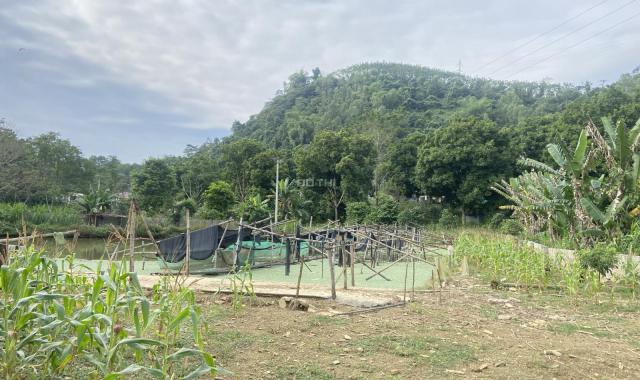 Lô đất sẵn vườn ao giá rẻ tại Lương Sơn - Hòa Bình