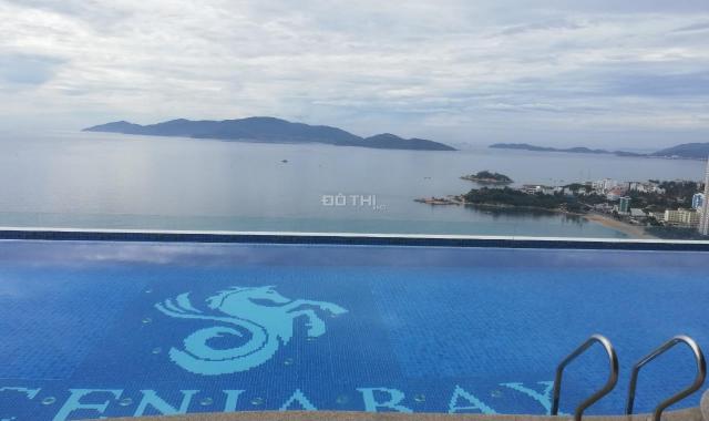 Chính chủ cho thuê căn hộ Scenia Bay Nha Trang, full nội thất cao cấp tiêu chuẩn 5 sao, view biển