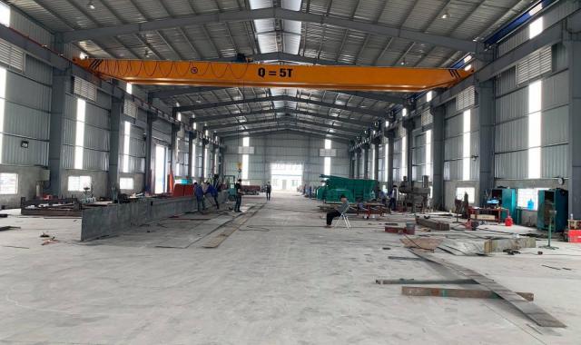 Cho thuê xưởng ở Mỹ Đồng, Thuỷ Nguyên DT 1000m2 và 2000m2, cẩu trục, trạm điện