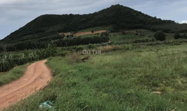 Bán 1.7 ha đất Tân Tiến, thị xã LaGi view Hồ Núi đất giá mềm