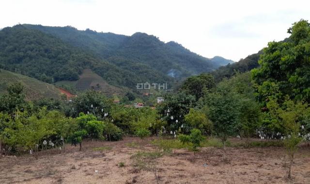 Bán đất nền tại Mường Sang - Mộc Châu - Sơn La giá chỉ từ 100k/m2