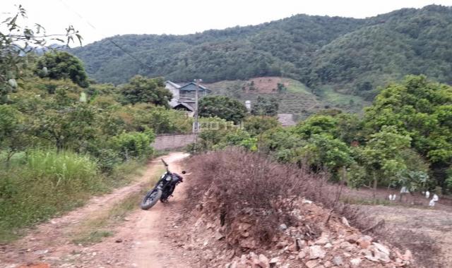 Bán đất nền tại Mường Sang - Mộc Châu - Sơn La giá chỉ từ 100k/m2