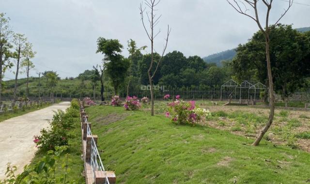 Bán nhanh 3718,6m2 khuôn viên nhà vườn đẹp tại Lương Sơn, Hòa Bình