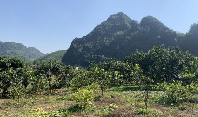 Bán đất Cao Răm, Lương Sơn Hoà Bình, DT1ha view đẹp hướng núi, đất bằng phẳng, đầu tư sinh lời ngay
