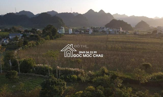 Bán đất tặng nhà riêng 657m2 tại thị trấn Nông Trường Mộc Châu