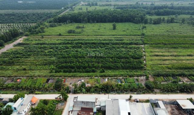 Bán đất đường Vườn Thơm, Xã Bình Lợi, Bình Chánh, diện tích 2000m2 giá 1.5 triệu/m2