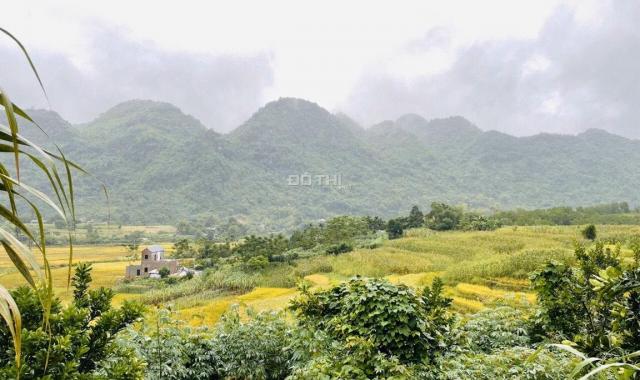 Siêu phẩm nghỉ dưỡng view thung lũng toàn cảnh 570m2 Yên Bình Thạch Thất