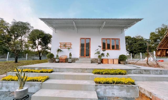 Cần bán khu nghỉ dưỡng vị trí đẹp mặt tiền đường Hải Lâm Bàu Trứ - Xã Phước Hưng - TT Phước Hải
