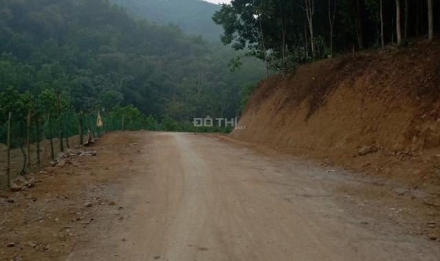 Bán đất tại đường Quốc Lộ 12B, Xã Kim Sơn, Kim Bôi, Hòa Bình diện tích 21000m2 giá 950 triệu