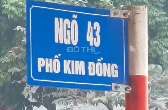 Phân lô oto tránh vỉa hè kinh doanh ngõ 43 Kim Đồng 50m2 6 tầng