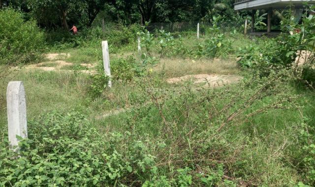 Cần bán lô đất đẹp thôn Phước Hạ, xã Phước Đồng, 87.6m2 - đường 4.5m