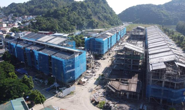 Bán căn biệt thự song lập cát bà Amatina Vinaconex, hải phòng, DT 160m (8x20) bàn giao quý 1/22