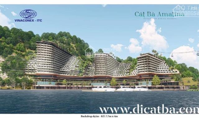 Bán căn biệt thự song lập cát bà Amatina Vinaconex, hải phòng, DT 160m (8x20) bàn giao quý 1/22