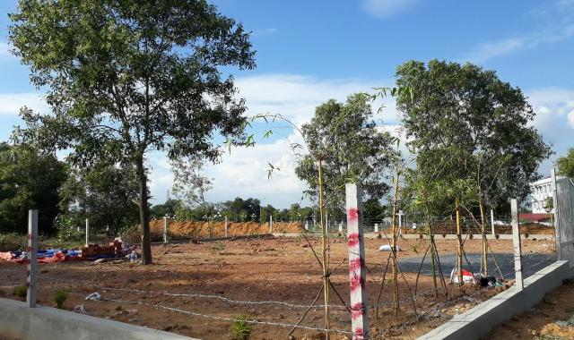 Đất nhà vườn LK TĐC Phước Thiền 25x20m 500m2, 2,9 tỷ đường Lý Thái Tổ, cách đường Trần Phú 500m