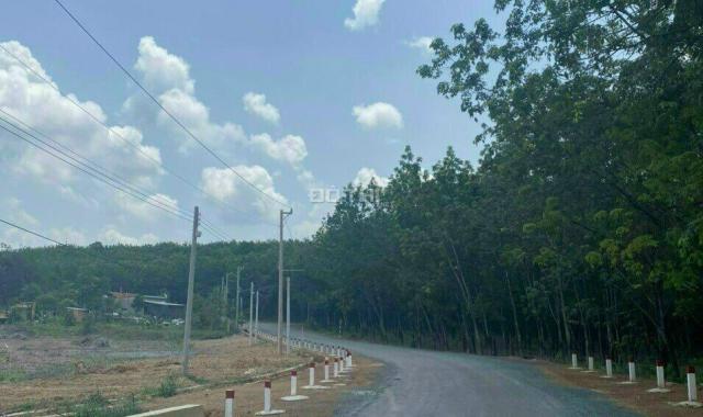Bán đất tại xã Tân Hưng, Đồng Phú, Bình Phước 1000m2 giá 385 triệu