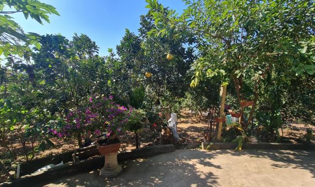 Bán 2155m2 đất tặng nhà 2 tầng + vườn cây ăn quả tại thị trấn Chũ Bắc Giang hợp đầu tư xây biệt thự