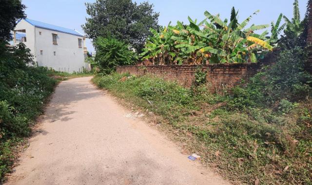 Bán đất tại đường Thắng Trí, Xã Minh Trí, Sóc Sơn, Hà Nội diện tích 200m2 giá 8 triệu/m2