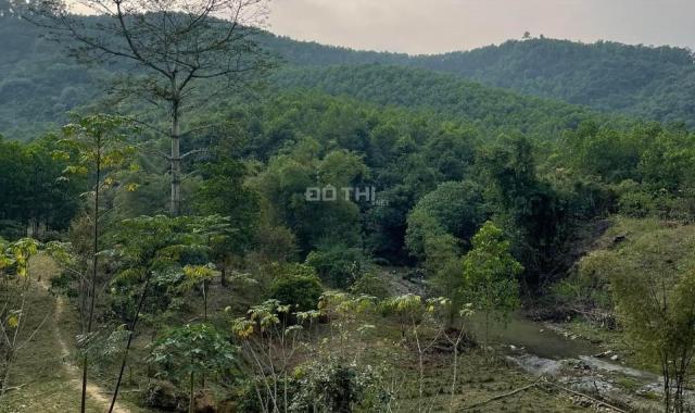 Cần bán gấp 8000m2 đất tại xã Cao Sơn, Huyện Lương Sơn