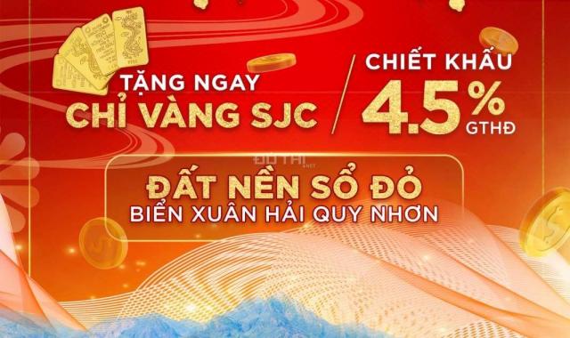 Cơ hội đầu tư đất biển liền kề các chuỗi Resort 5*