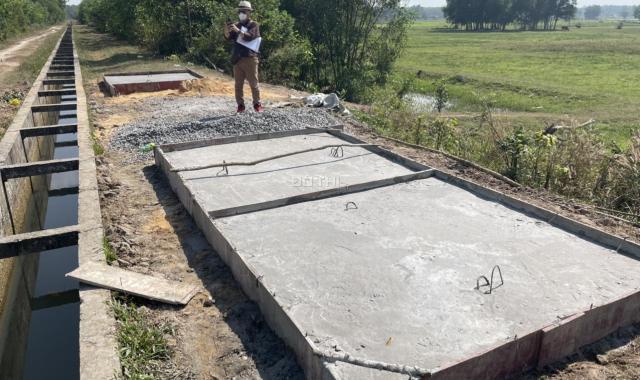 Bán gấp trước tết 1000m2 đất vườn Củ Chi, giá ngộp sổ hồng riêng