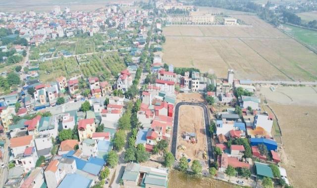 Chính chủ bán lô đất đấu giá khu xen kẹt xã Đại Áng huyện Thanh Trì Hà Nội
