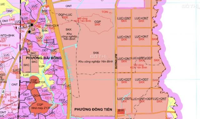 Bất động sản công nghiệp - Gà đẻ trứng vàng 2022. Giá đầu tư - X2 sau tết