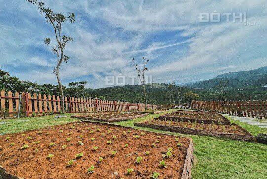 Đất xây nhà vườn thành phố Bảo Lộc. 750m2 sổ riêng - liên hệ chính chủ 0931.357.573