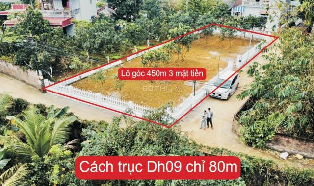 Khai xuân mở bán lô góc 3 mặt tiền 450m2 thôn Hòa Trúc, Hòa Thạch, Quốc Oai giá 10,5tr/m2. LH: 0977