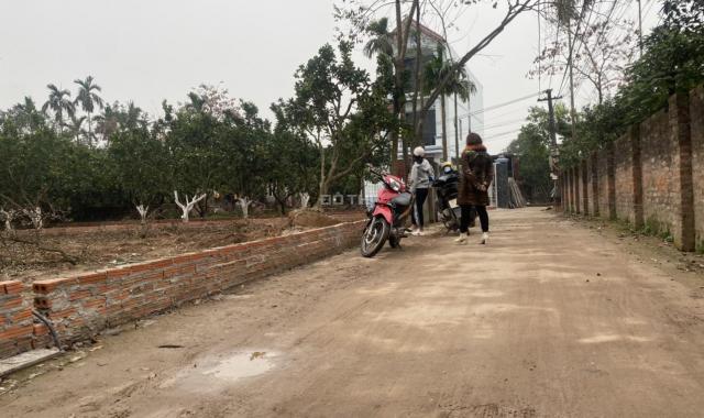 Bán 6 mảnh đất Tráng Việt - Mê Linh, DT 40 - 60m2, đường ô tô, ngõ thông, giá cắt lỗ