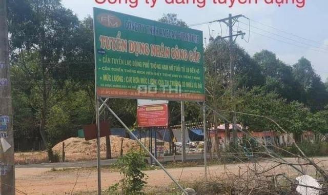 Đất ngân hàng thanh lý nằm ngay cạnh hai khu công nghiệp lớn Bàu Bàng mở rộng và cây trường