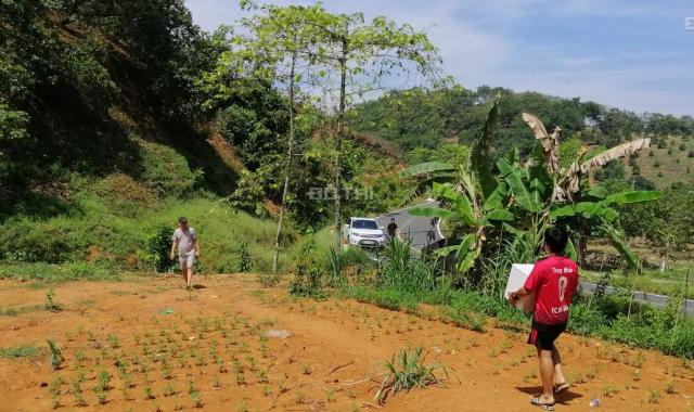 Trang trại lớn, thích hợp nghỉ dưỡng, trồng cây/chăn nuôi. Đặc biệt đất trồng sầu riêng tốt nhất