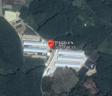 Cần bán trại heo huyện Đức Linh, Bình Thuận. Tổng diện tích 53000 m2