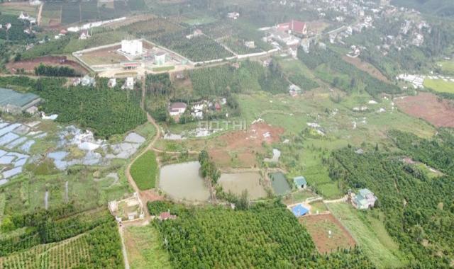 1,4 ha rẫy đầu tư homestay tại trung tâm Xã Quảng Tân, Huyện Tuy Đức, Tỉnh Đắk Nông