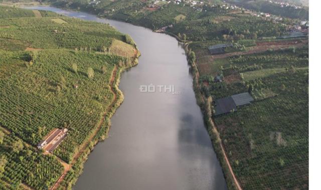 1,4 ha rẫy đầu tư homestay tại trung tâm Xã Quảng Tân, Huyện Tuy Đức, Tỉnh Đắk Nông