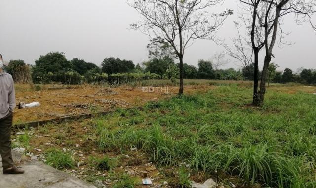 Chính chủ gửi bán lô đất tại Yên Thái - Đông Yên - Quốc Oai - Hà Nội diện tích 229m2