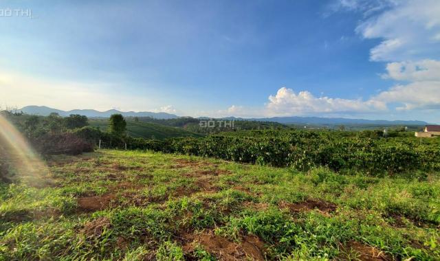 Chính chủ bán 4,3 sào đất view đồi núi săn mây rất đẹp gần thác Dambri Bảo Lộc