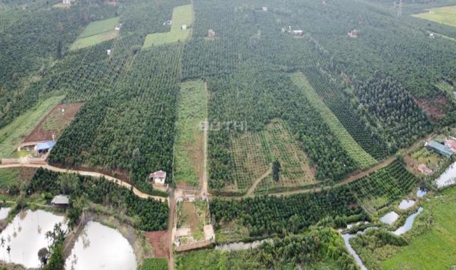 Bán 784 m2 đất, mặt đường 11m, đường nhựa Xã Quảng Tâm, Huyện Tuy Đức, Đắk Nông