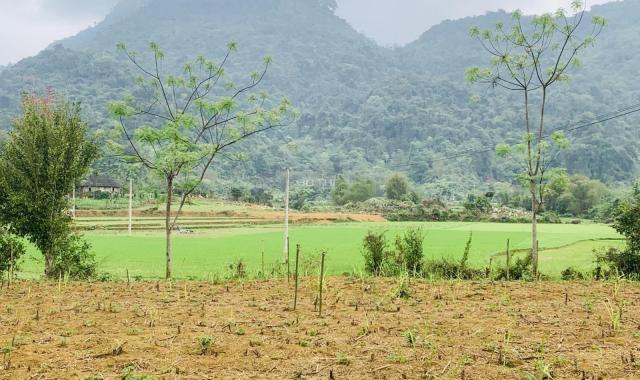 Chỉ 1,x tỷ sở hữu ngay 2500m2 view cánh đồng xanh mướt Tân Lạc Hoà Bình