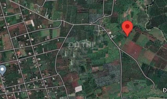 Cần bán rẫy cafe tuổi đời 4 năm làng Ring - xã Hà Bầu - Huyện Đăk Đoa - Gia Lai
