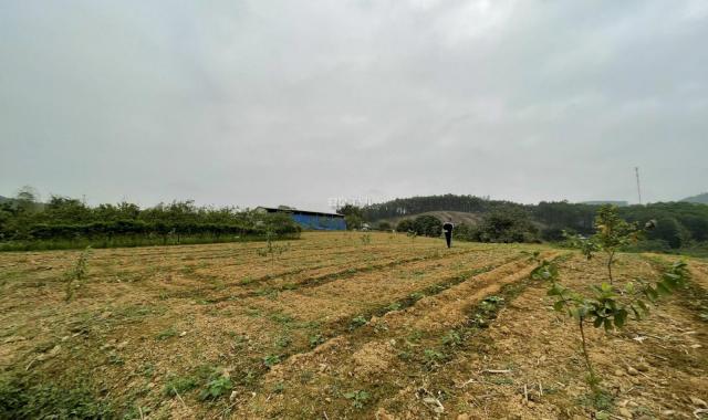 Cần bán gấp mảnh đất tại Lạc Hưng - Yên Thuỷ - Hoà Bình 21000m2, xây dựng resort, homestay