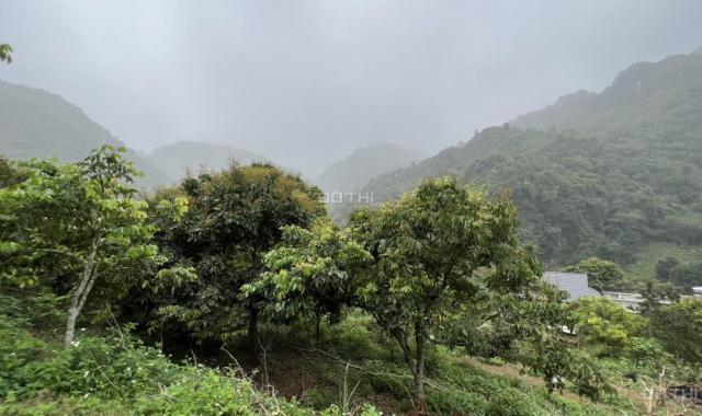 Bán nhanh 1.800m2 đất thổ cư giá rẻ nhất thị trường tại Lương Sơn, Hòa Bình
