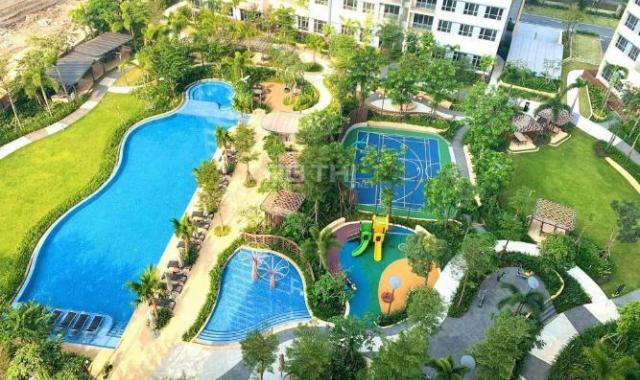 Giỏ hàng các căn đang cho thuê mới nhất giá tốt nhất tháng 04/2023, Palm Heights LH PKD 0902979005