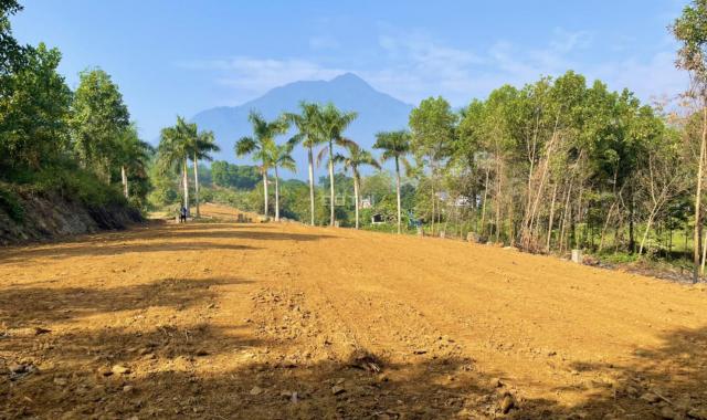 Đất nghỉ dưỡng, nhà vườn 1250m2 lô góc nằm trong quần thể người Hà Nội