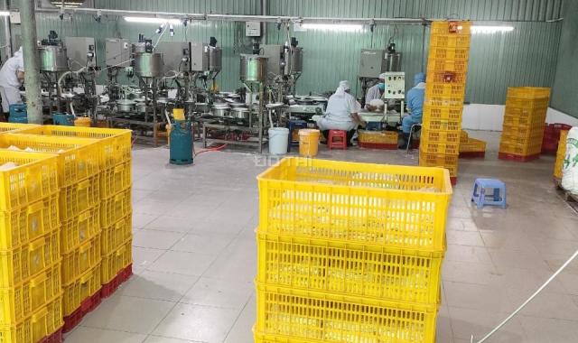 Bán nhà xưởng đường TL865, Mỹ Phước, Tân Phước, Tiền Giang, 3100m2, 15 tỷ