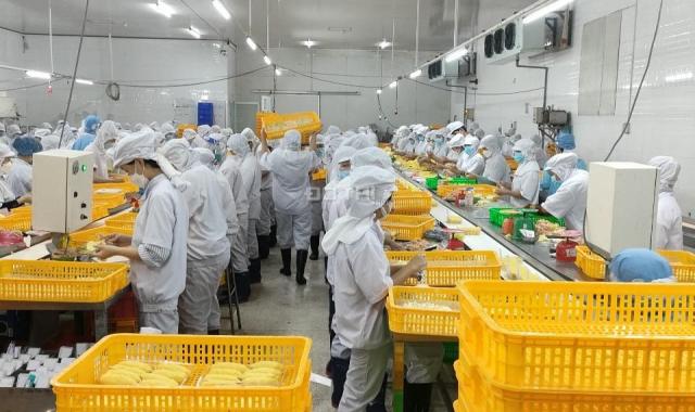 Bán nhà xưởng đường TL865, Mỹ Phước, Tân Phước, Tiền Giang, 3100m2, 15 tỷ