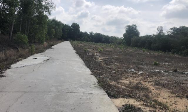 Bán đất Ấp 5 Xã Phước Bình 1357m2, Huyện Long Thành